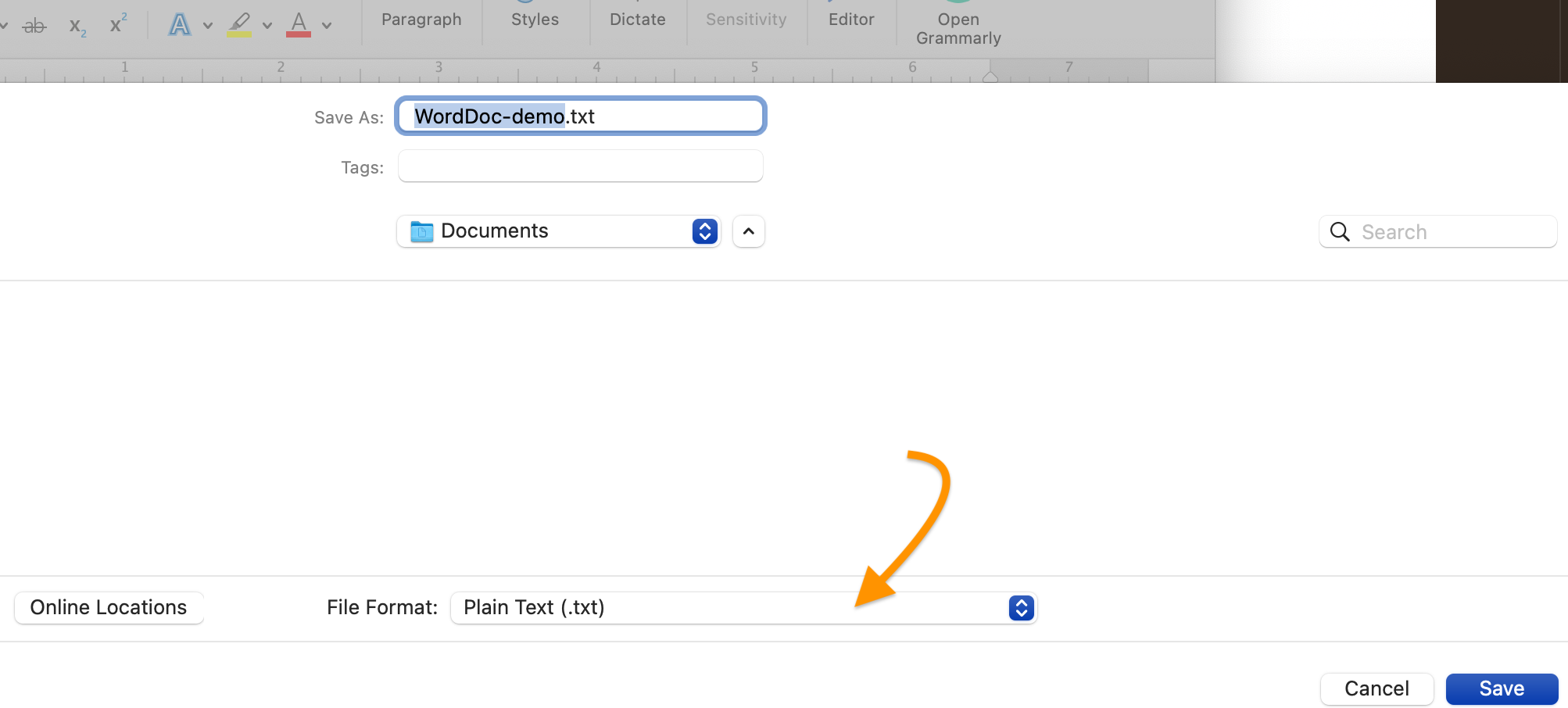 Word document "Save As" pop-up showing file-type options